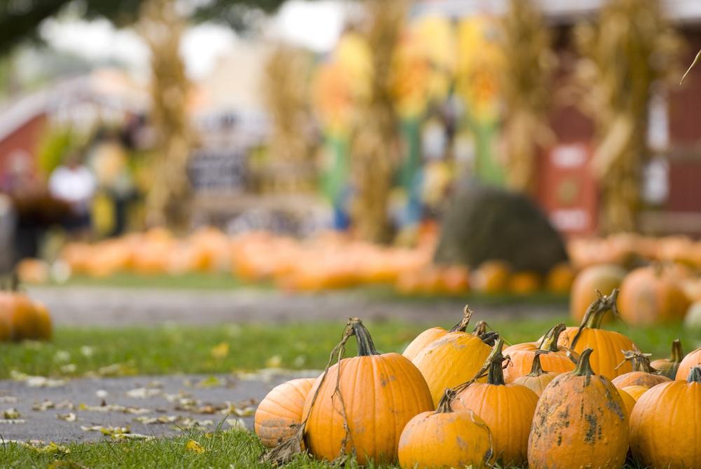 Your Ultimate Guide to Vermont Fall Festivals Killington Rental